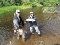 image of coho