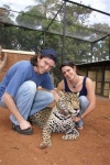 image of jaguar_car