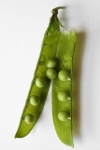 image of peas