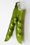 image of peas #20