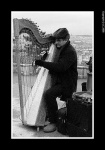 image of harp