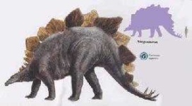 image of stegosaurus
