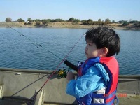 image of reel
