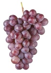 image of grapes #1