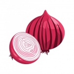 image of onion #19