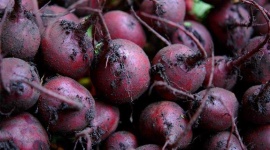 image of beetroot #2