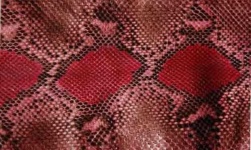 image of texture