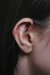 image of ear #21