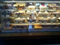 image of food