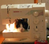 image of sewing_machine