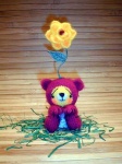 image of teddy