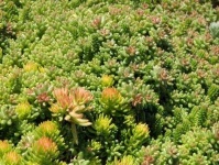 image of texture