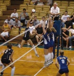 image of volleyball