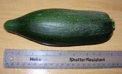 image of zucchini #3