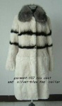 image of coat #22