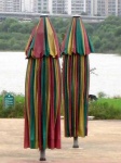 image of umbrella