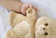 image of teddy_bear