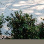 image of material