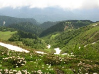 image of valley