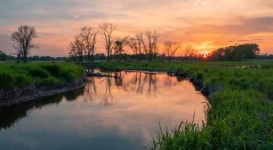 image of wetland
