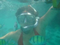 image of snorkel