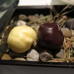 image of food