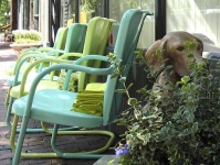 image of weimaraner