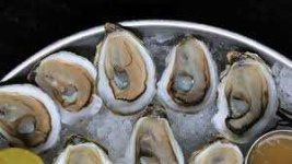 image of oyster #27