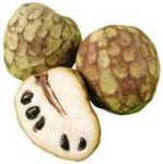 image of custard_apple #32