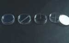 image of petri_dish