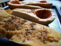 image of butternut_squash #31