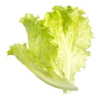 image of lettuce #21