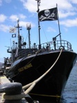 image of pirate_ship #862