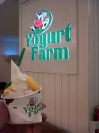 image of food
