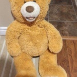image of teddy_bear