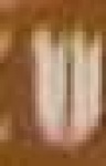 image of char