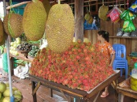 image of jackfruit