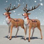 image of animal