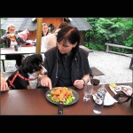 image of entlebucher