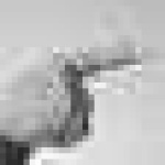 image of sign_language