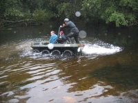 image of amphibian