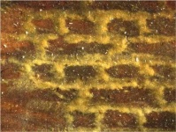 image of texture