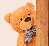 image of teddy_bear
