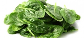 image of spinach #19