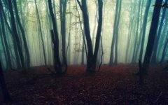 image of foggy