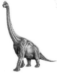 image of brontosaurus