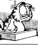 image of garfield