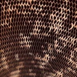 image of texture