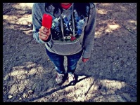 image of ice_lolly
