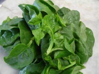 image of spinach #21